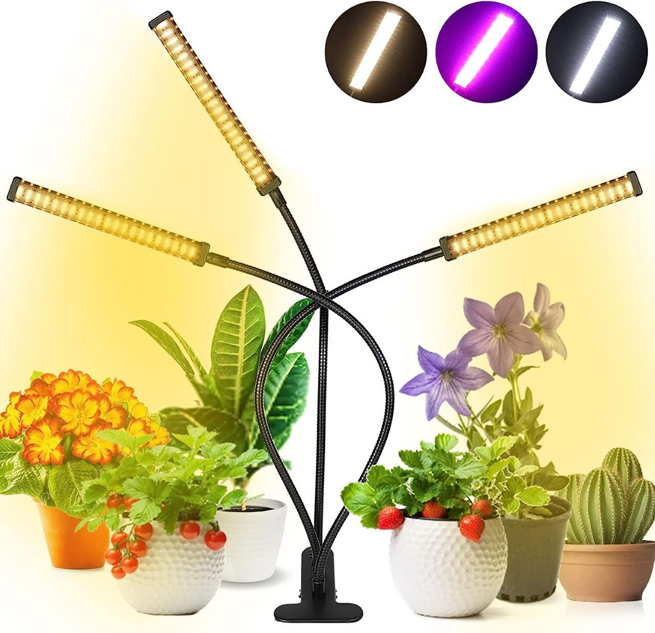 نور مصنوعی ال ای دی برای گیاهان آپارتمانی