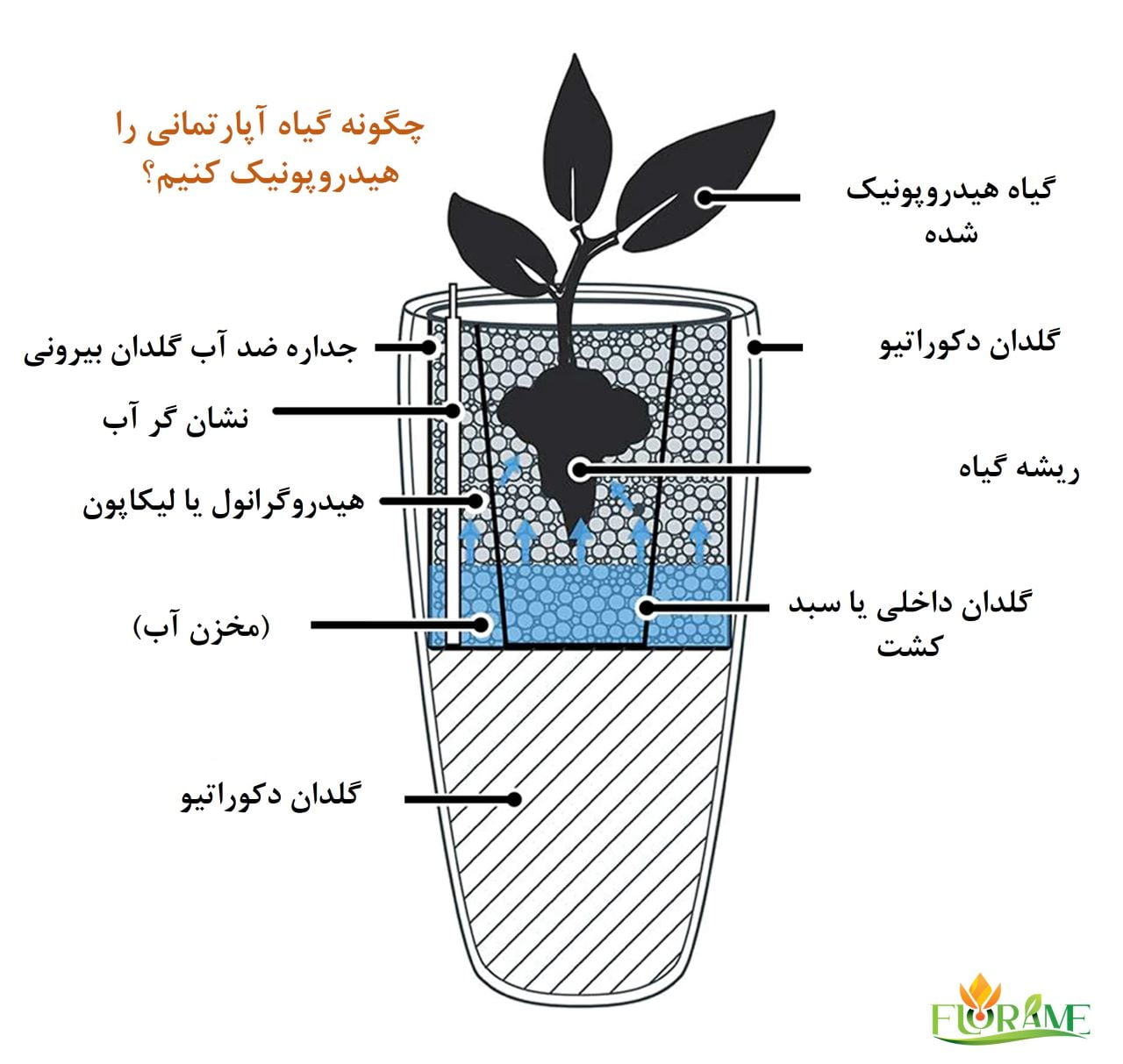 هیدروپونیک کردن گیاهان آپارتمانی