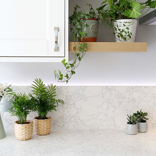 گیاهان آپارتمانی سایه پسند در آشپزخانه